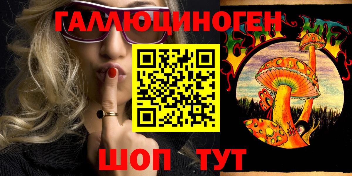 Галлюциногенные грибы Psilocybe Нововоронеж